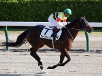 ����å��ǳ��������ɽ�����ޤ�