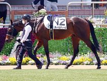 ����å��ǳ��������ɽ�����ޤ�