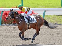 ����å��ǳ��������ɽ�����ޤ�