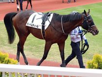 ����å��ǳ��������ɽ�����ޤ�