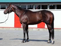 ����å��ǳ��������ɽ�����ޤ�