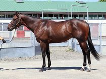 ����å��ǳ��������ɽ�����ޤ�