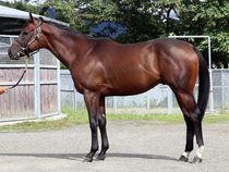 ����å��ǳ��������ɽ�����ޤ�