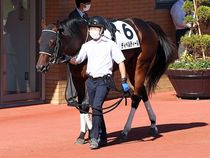 ����å��ǳ��������ɽ�����ޤ�