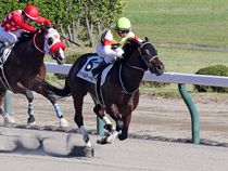 ����å��ǳ��������ɽ�����ޤ�