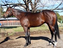 ����å��ǳ��������ɽ�����ޤ�