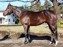 ����å��ǳ��������ɽ�����ޤ�