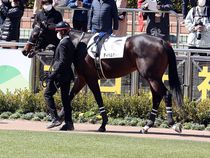 ����å��ǳ��������ɽ�����ޤ�