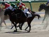 ����å��ǳ��������ɽ�����ޤ�