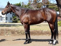 ����å��ǳ��������ɽ�����ޤ�