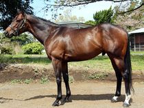 ����å��ǳ��������ɽ�����ޤ�