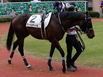 ����å��ǳ��������ɽ�����ޤ�