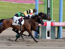 ����å��ǳ��������ɽ�����ޤ�