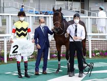 ����å��ǳ��������ɽ�����ޤ�