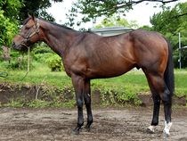 ����å��ǳ��������ɽ�����ޤ�