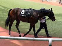 ����å��ǳ��������ɽ�����ޤ�