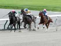 ����å��ǳ��������ɽ�����ޤ�