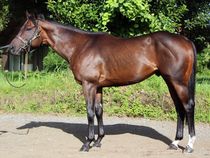 ����å��ǳ��������ɽ�����ޤ�