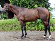 ����å��ǳ��������ɽ�����ޤ�