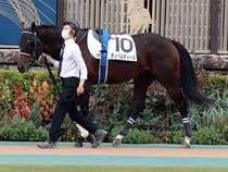 ����å��ǳ��������ɽ�����ޤ�