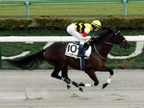 ����å��ǳ��������ɽ�����ޤ�