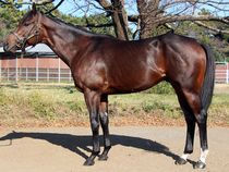 ����å��ǳ��������ɽ�����ޤ�