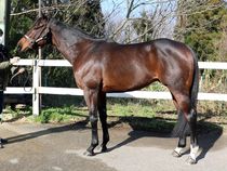 ����å��ǳ��������ɽ�����ޤ�