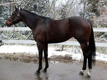 ����å��ǳ��������ɽ�����ޤ�