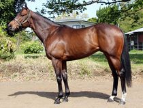 ����å��ǳ��������ɽ�����ޤ�