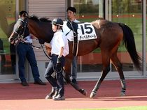 ����å��ǳ��������ɽ�����ޤ�