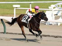 ����å��ǳ��������ɽ�����ޤ�