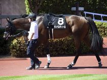 ����å��ǳ��������ɽ�����ޤ�