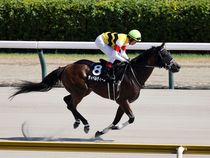 ����å��ǳ��������ɽ�����ޤ�