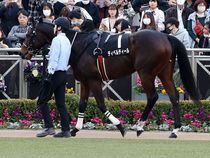 ����å��ǳ��������ɽ�����ޤ�