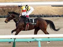 ����å��ǳ��������ɽ�����ޤ�