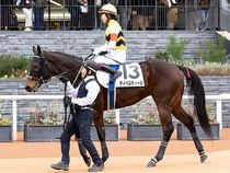 ����å��ǳ��������ɽ�����ޤ�