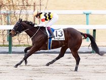 ����å��ǳ��������ɽ�����ޤ�