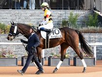 ����å��ǳ��������ɽ�����ޤ�