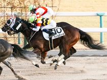 ����å��ǳ��������ɽ�����ޤ�