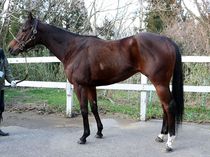 ����å��ǳ��������ɽ�����ޤ�