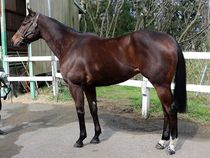 ����å��ǳ��������ɽ�����ޤ�