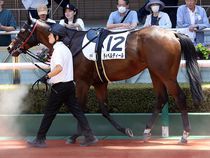 ����å��ǳ��������ɽ�����ޤ�