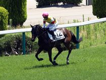 ����å��ǳ��������ɽ�����ޤ�