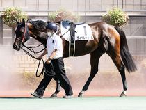 ����å��ǳ��������ɽ�����ޤ�