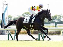 ����å��ǳ��������ɽ�����ޤ�