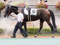 ����å��ǳ��������ɽ�����ޤ�