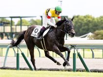 ����å��ǳ��������ɽ�����ޤ�