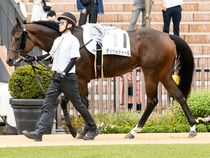 ����å��ǳ��������ɽ�����ޤ�