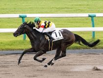 ����å��ǳ��������ɽ�����ޤ�