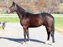 ����å��ǳ��������ɽ�����ޤ�